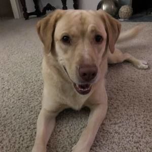 Meet your Posher, Lori